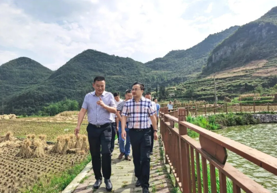 畢節(jié)工業(yè)職業(yè)技術(shù)學院黨委書記李涌、院長邱國援率隊到鄉(xiāng)村振興駐村聯(lián)系工作點調(diào)研