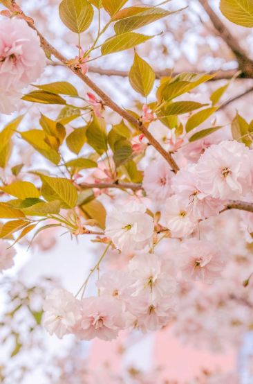 這一陣春風，讓工職院學子為之心動